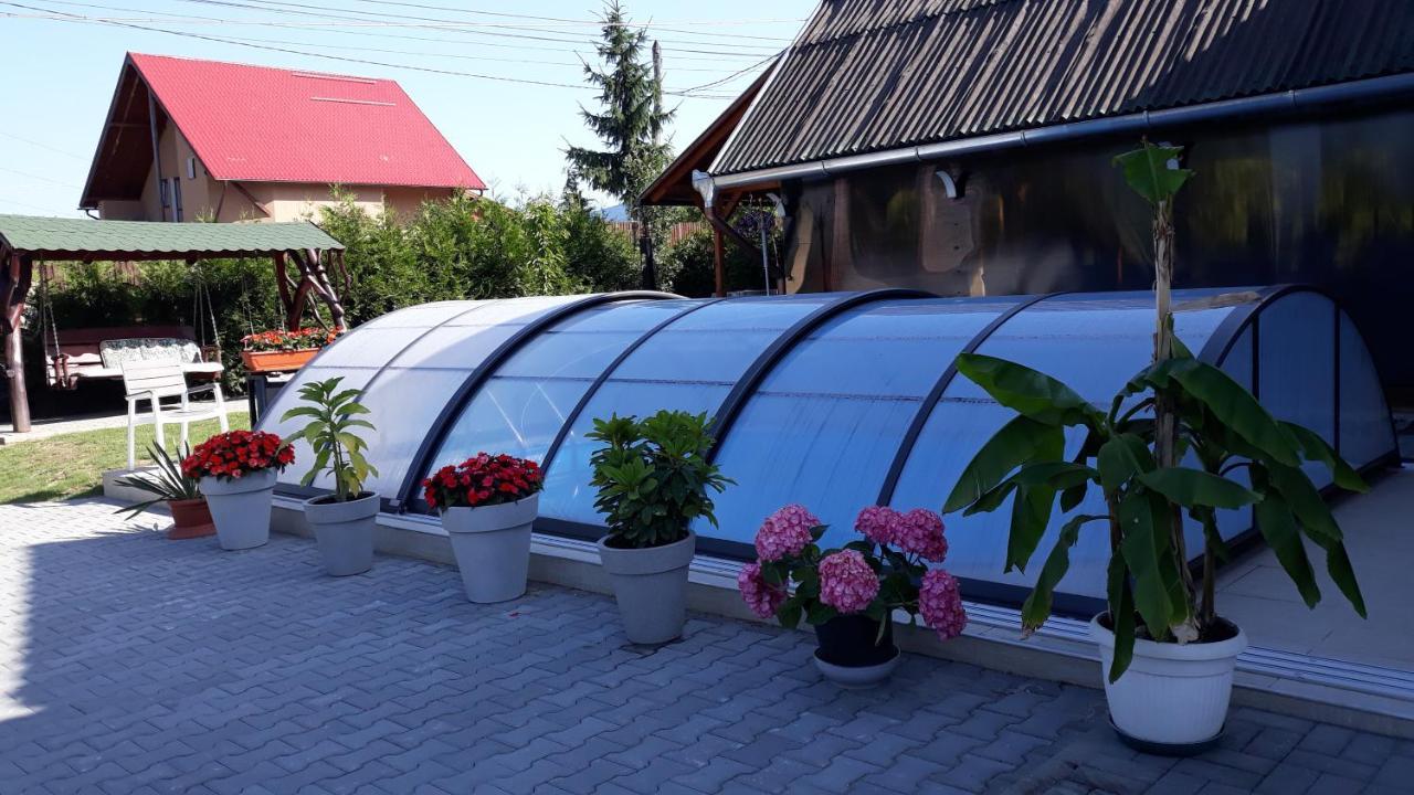 Vila Eszter Hotell Sovata Exteriör bild